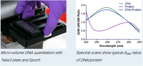 Epoch-Microplate-Spectrophotometer2.jpg